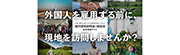 外国人材雇用
