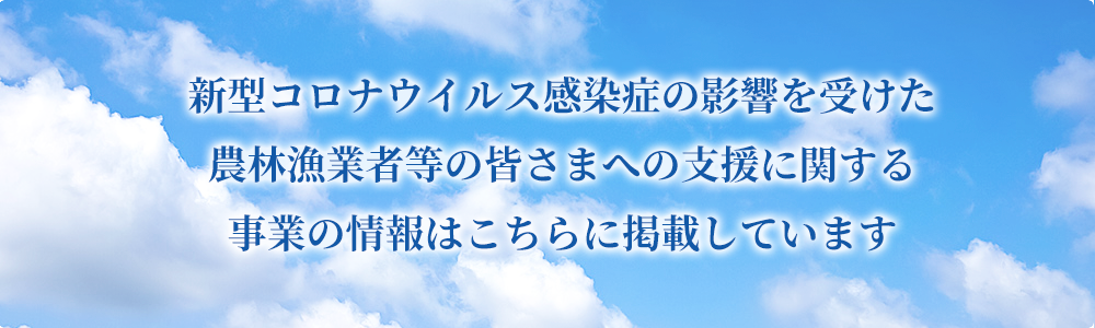 新型コロナウイルス感染症の影響を受けた農林漁業者等への支援事業